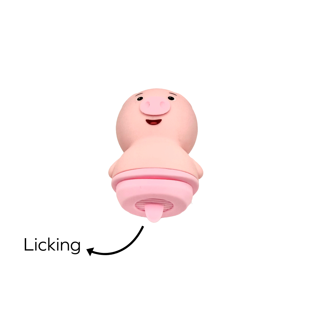Mr. Pig
